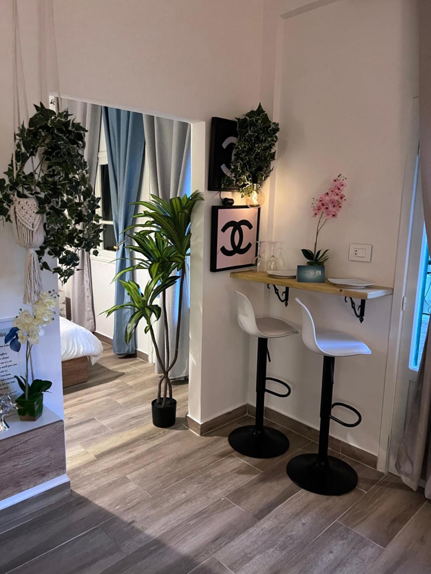 Byout Beirut's M2 Beirut